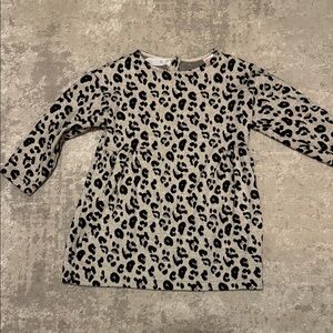 Zara Leopard Print Long Sleeve Dress